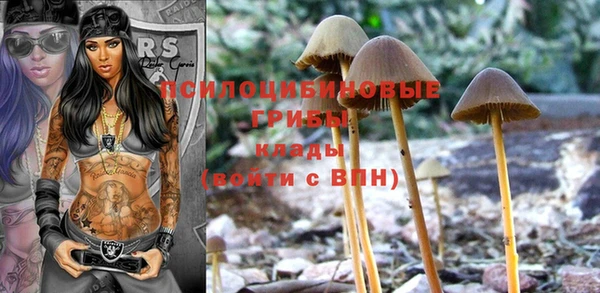 spice Абаза
