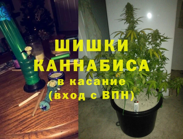 ГАЛЛЮЦИНОГЕННЫЕ ГРИБЫ Надым