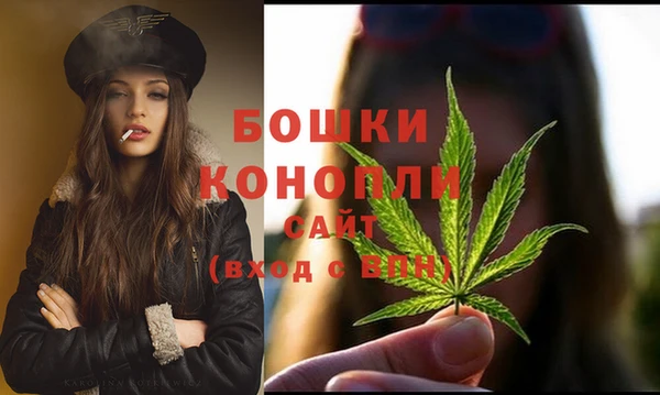 ГАЛЛЮЦИНОГЕННЫЕ ГРИБЫ Надым