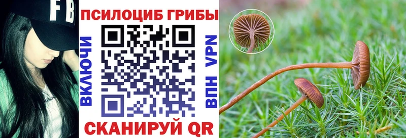 Псилоцибиновые грибы GOLDEN TEACHER  Черепаново 